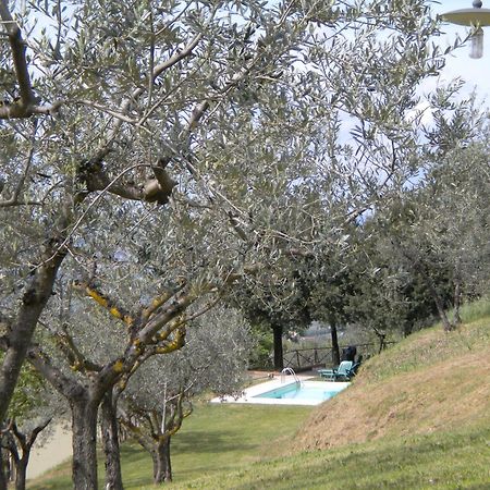 Maison d'hôtes Il Poggio Delle Ginestre à Torgiano Extérieur photo