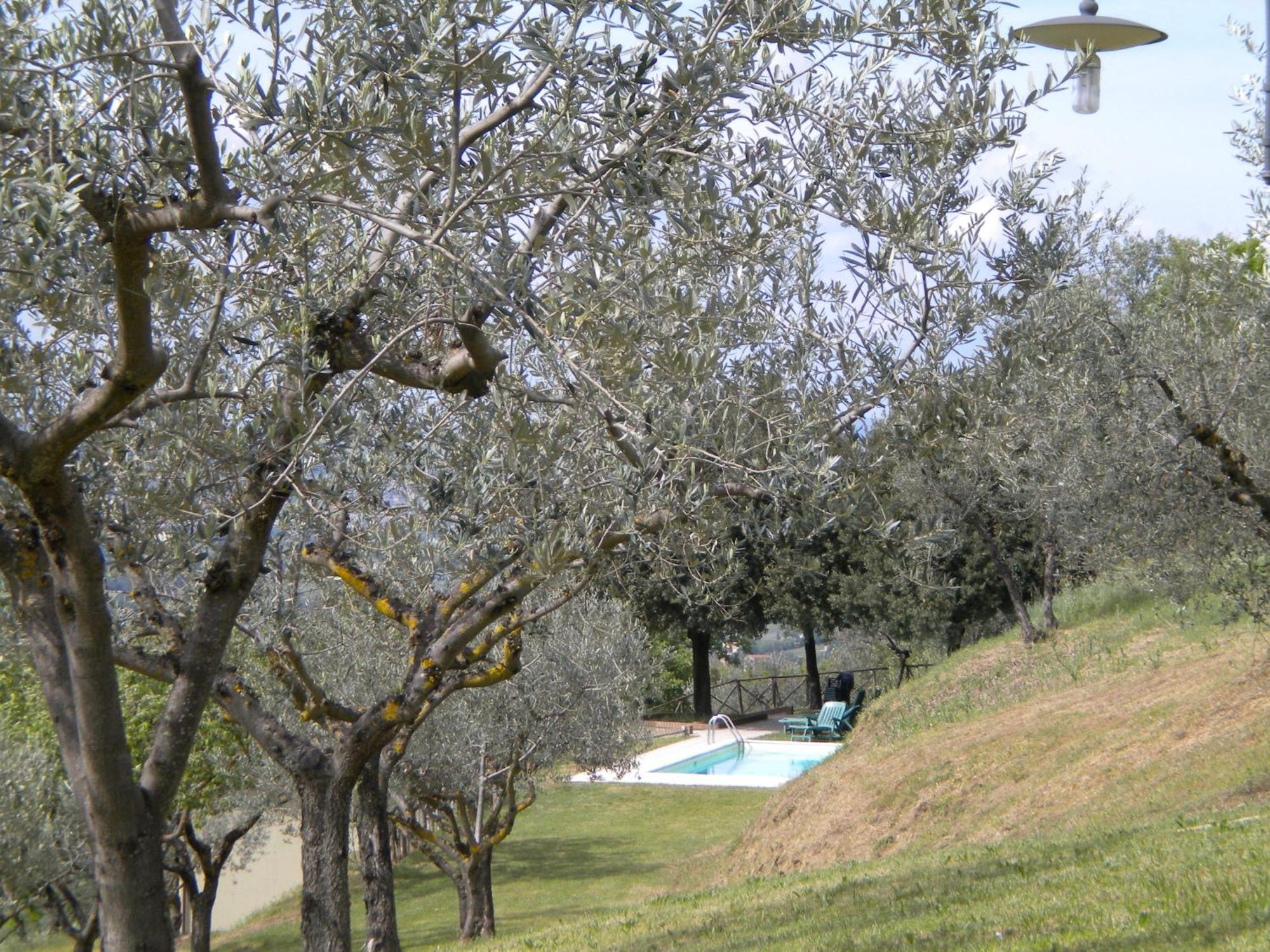 Maison d'hôtes Il Poggio Delle Ginestre à Torgiano Extérieur photo